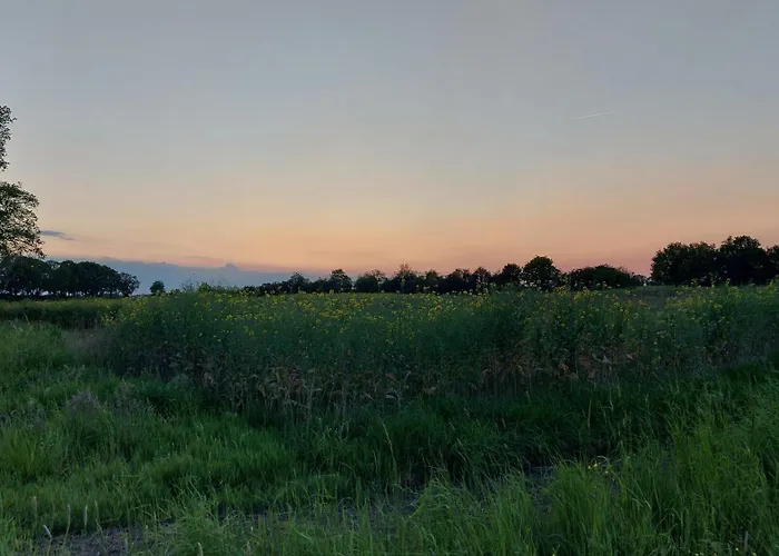 Hotel dichtbij College: Natuurlijk Aan De Es